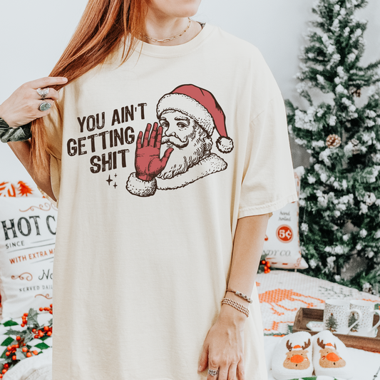 You Ain't Getting S*** Christmas Santa DTF Transfer