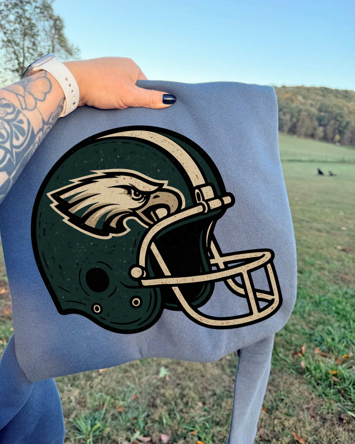 Vintage Helmet Eagles DTF Transfer