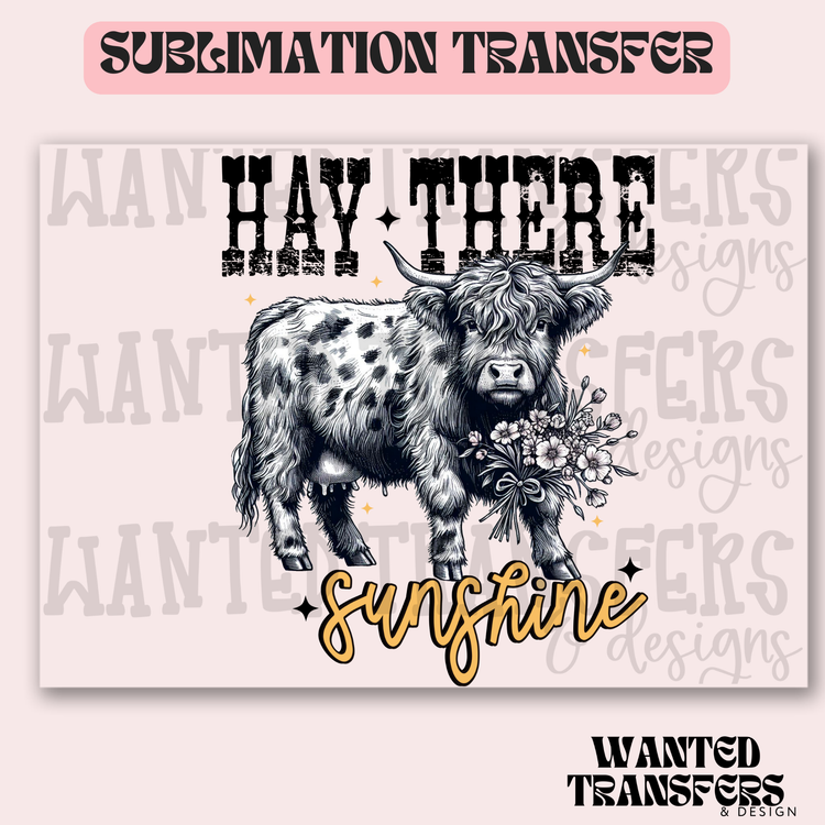 Hay There Sunshine Hyland Exclusive Sublimation Transfer