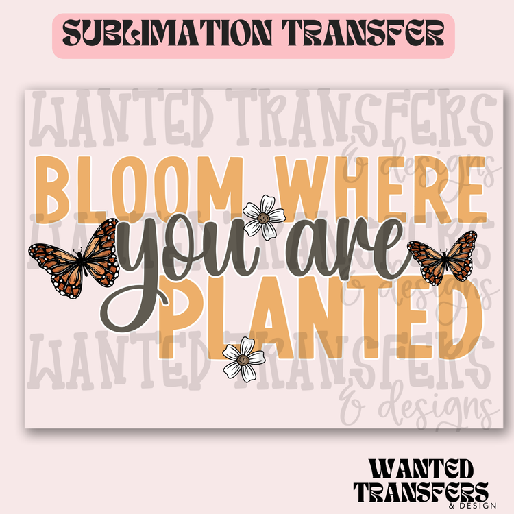 Bloom Butterflies Exclusive Sublimation Transfer