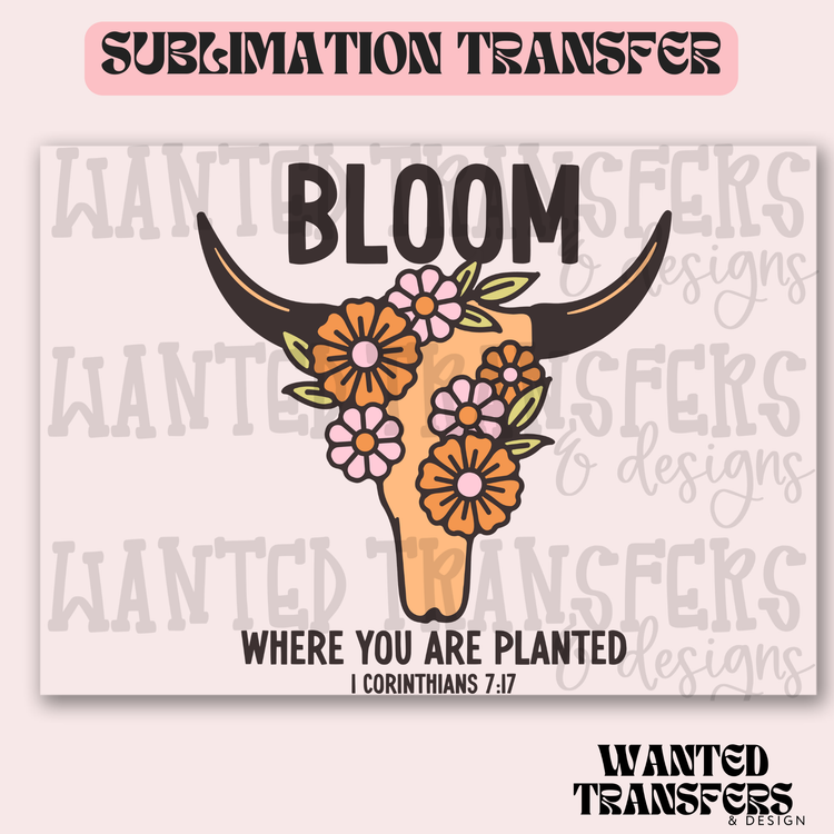 Bloom Cow Skull Exclusive Sublimation Transfer