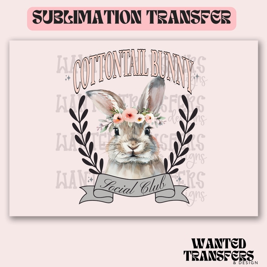 Cottontail Bunny Exclusive Sublimation Transfer