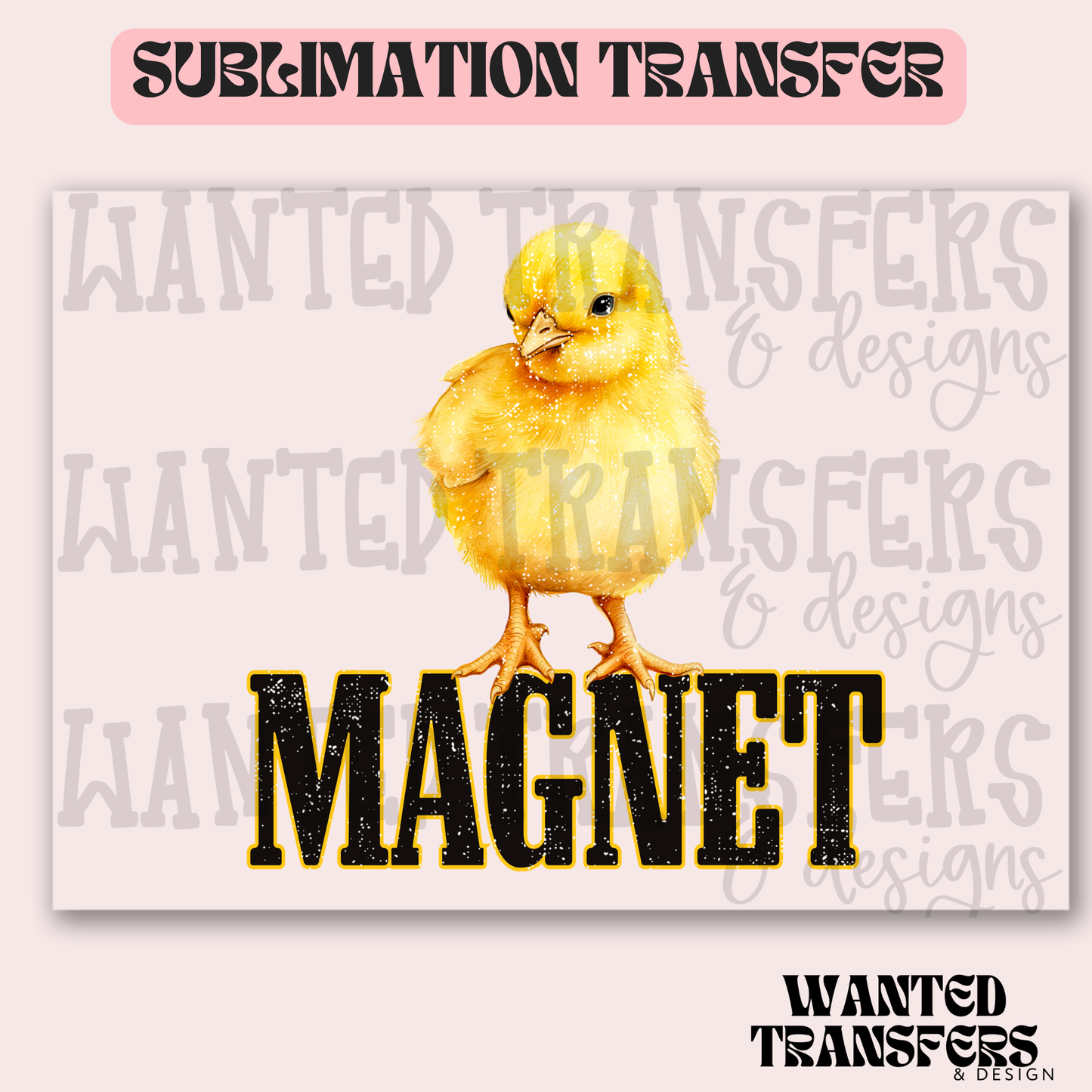 Chick Magnet Exclusive Sublimation Transfer