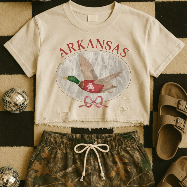 Arkansas Game Day Mallard DTF Transfer