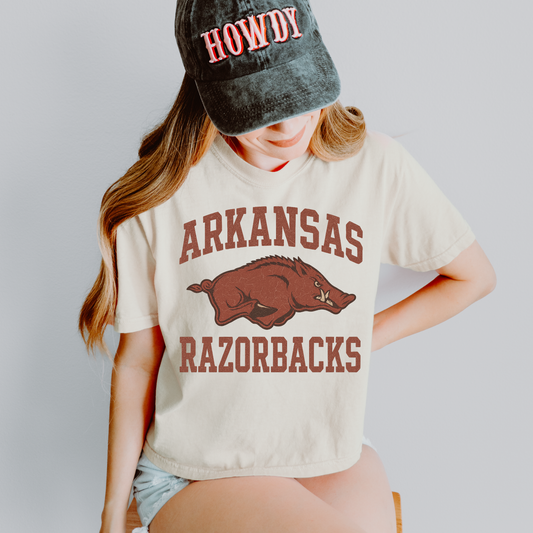 Arkansas Razorbacks DTF Transfer