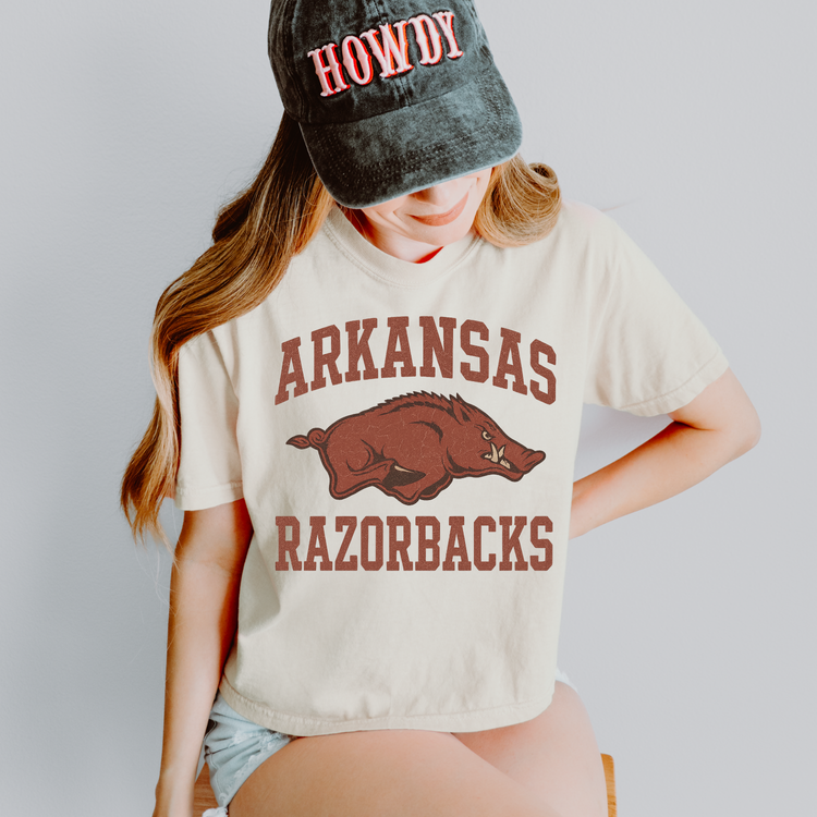 Arkansas Razorbacks DTF Transfer