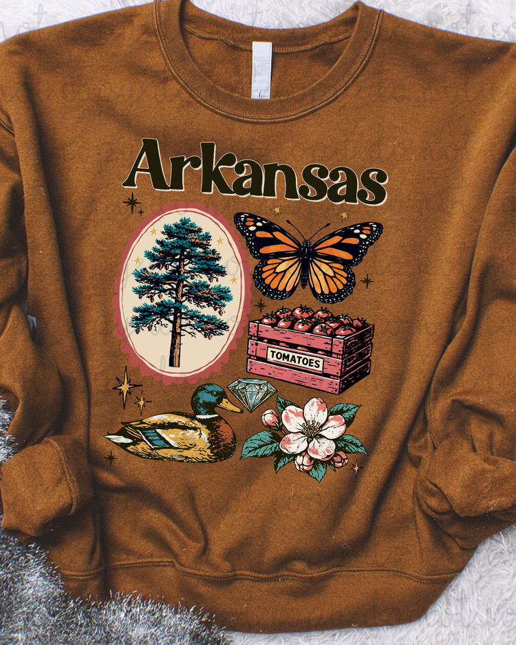 Arkansas Symbols DTF Transfer