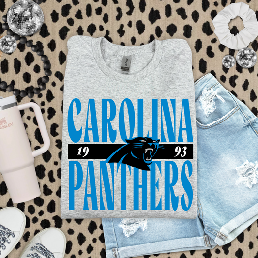 Carolina Panthers Score DTF Transfer