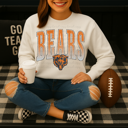 Distressed Bears DTF Transfers
