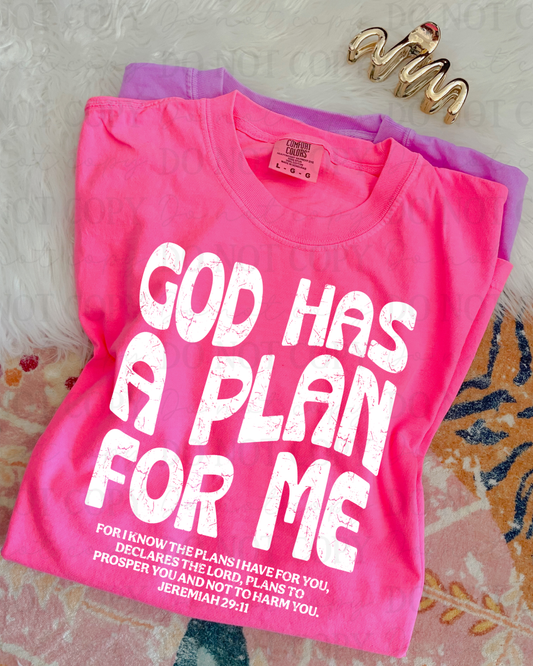 Distressed God Has A Plan For Me Verse (White) DTF Transfer