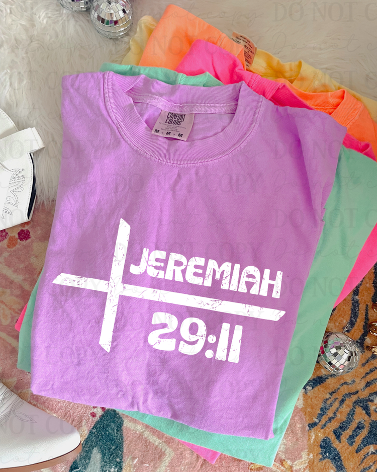 Distressed Jeremiah 29:11 (White) DTF Transfer