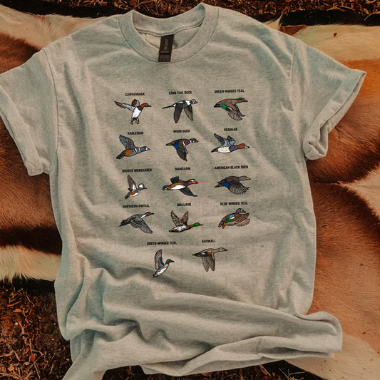 Duck Breeds DTF Transfer