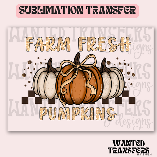 Farm Fresh Pumpkins Exclusive Sublimation Transfer