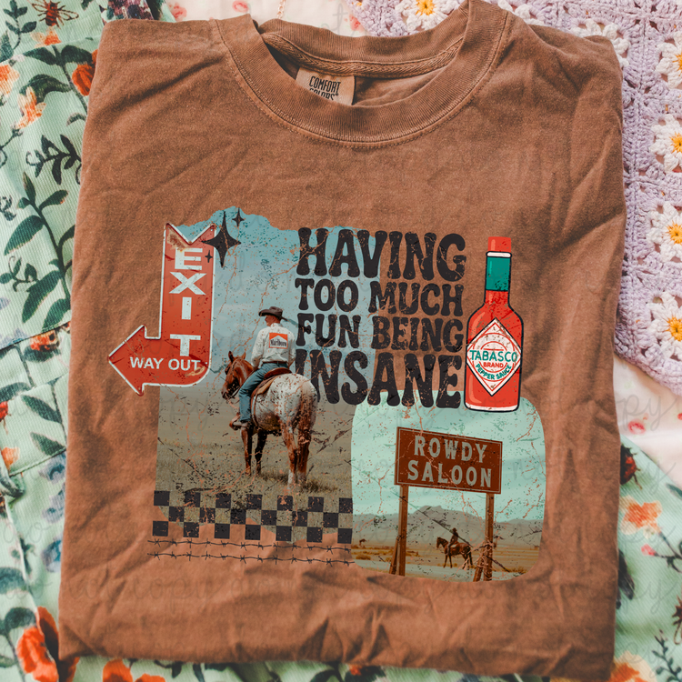 Distressed Fun Being Insane DTF Transfer