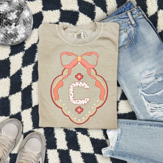 Grand Millennial Frame Gamecocks DTF Transfer