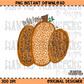 Hey There Pumpkin PNG Digital Download