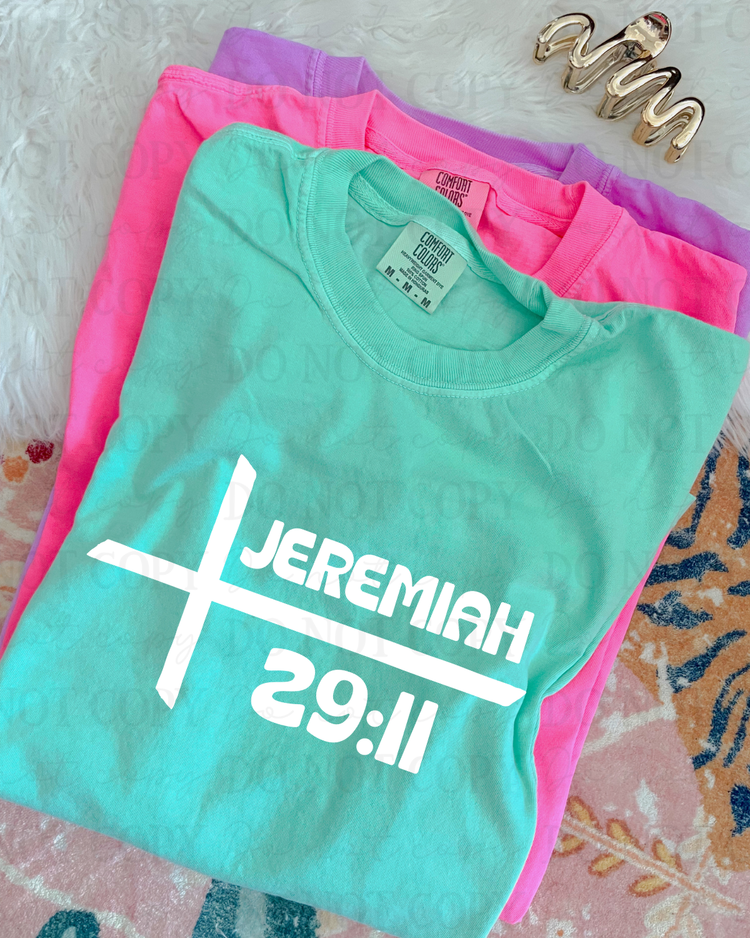 Jeremiah 29:11 DTF Transfer