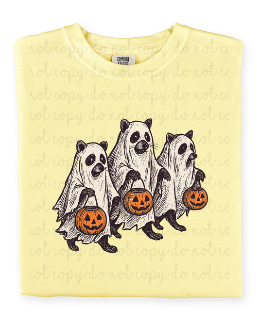 Raccoon Ghosts DTF Transfer