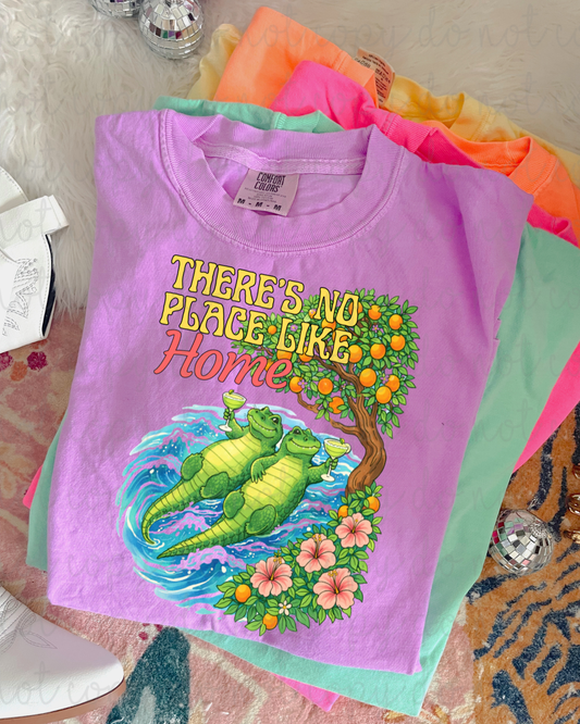 There's No Place Like Home (Florida) DTF Transfer