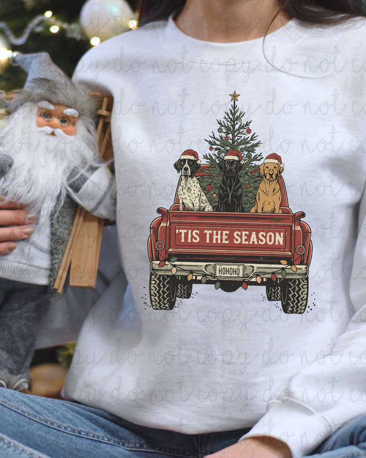 Tis The Season Truck DTF Transfer