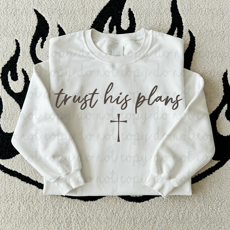 Trust His Plans DTF Transfer