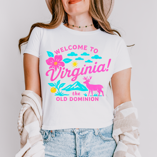 Neon Welcome To Virginia DTF Transfer
